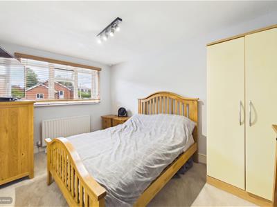 Picture 20